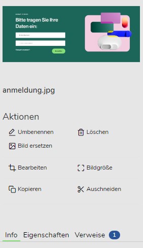 TWT Publisher Content Management System: Detailinformationen eines Bildes