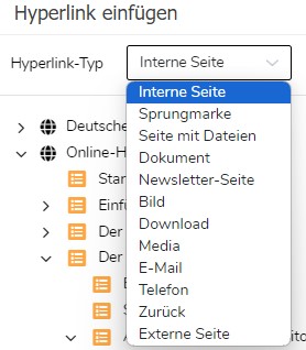 TWT Publisher Content Management System: Hyperlink Dialogfenster