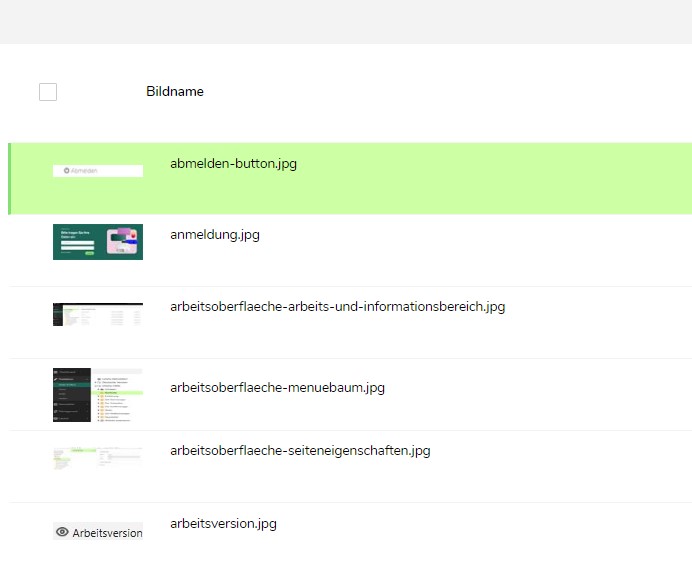 TWT Publisher Content Management System: Bilddaten als Liste