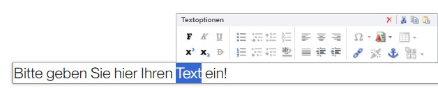 TWT Publisher Content Management System: Textoptionen