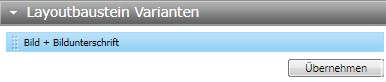 TWT Publisher Content Management System: Übernehmen einer neuen Variante